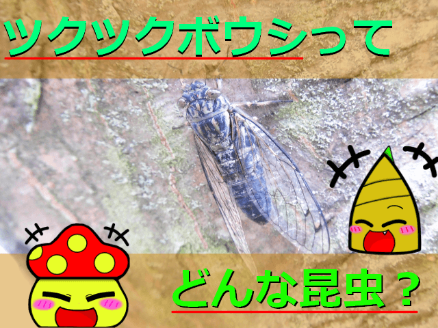 Thumbnail of post image 167